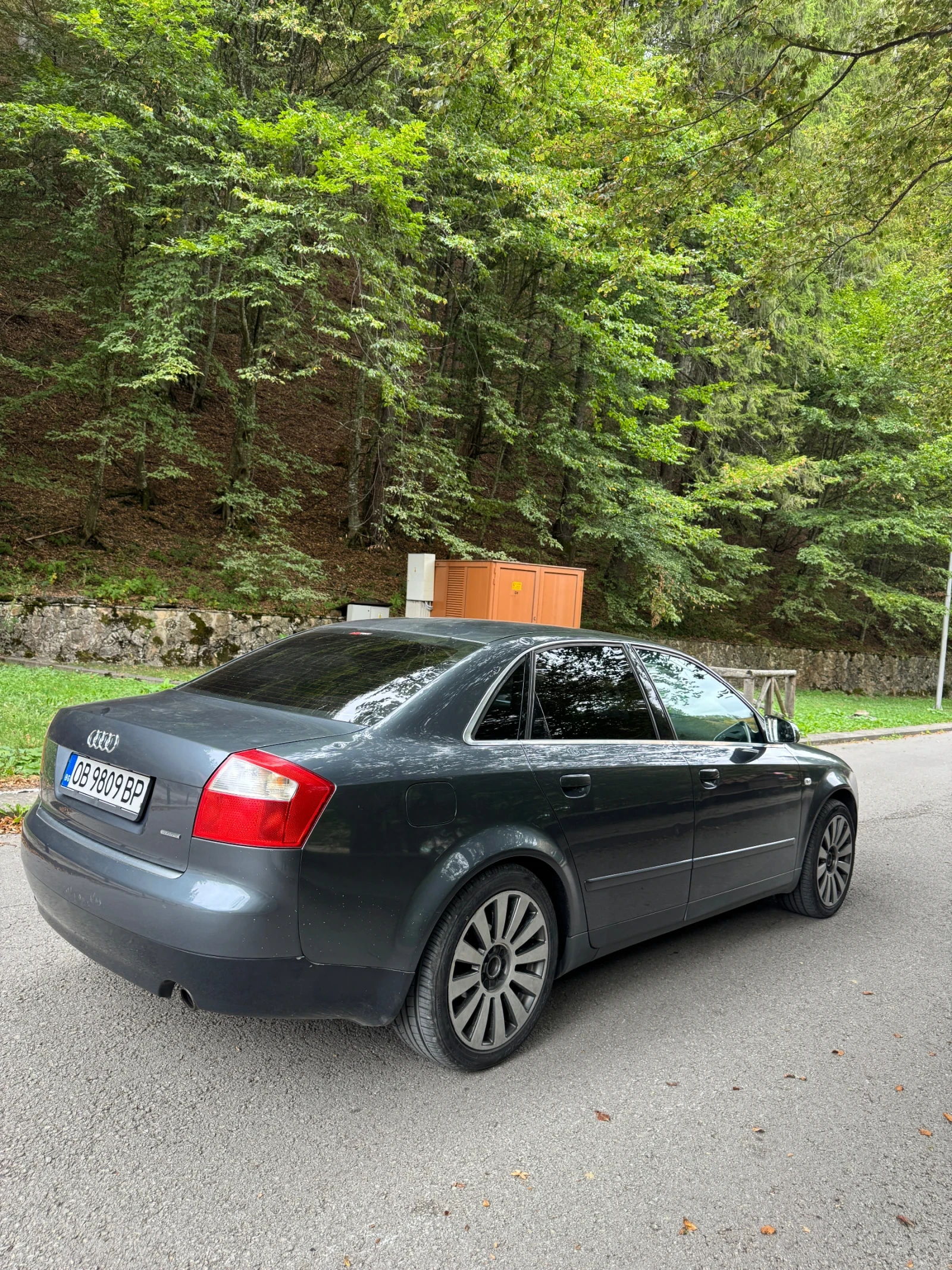 Audi A4 4х4 - Газова уредба - изображение 7