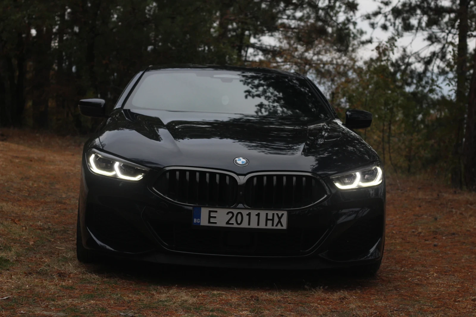 BMW 850