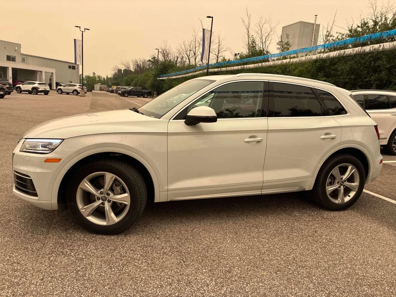 Audi Q5 * Progressiv * CARFAX * ОПЦИЯ ЗА ФИНАНСИРАНЕ, снимка 2 - Автомобили и джипове - 55684266