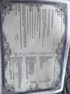 Telstar TS undefined | Auto.bg — изображение 11