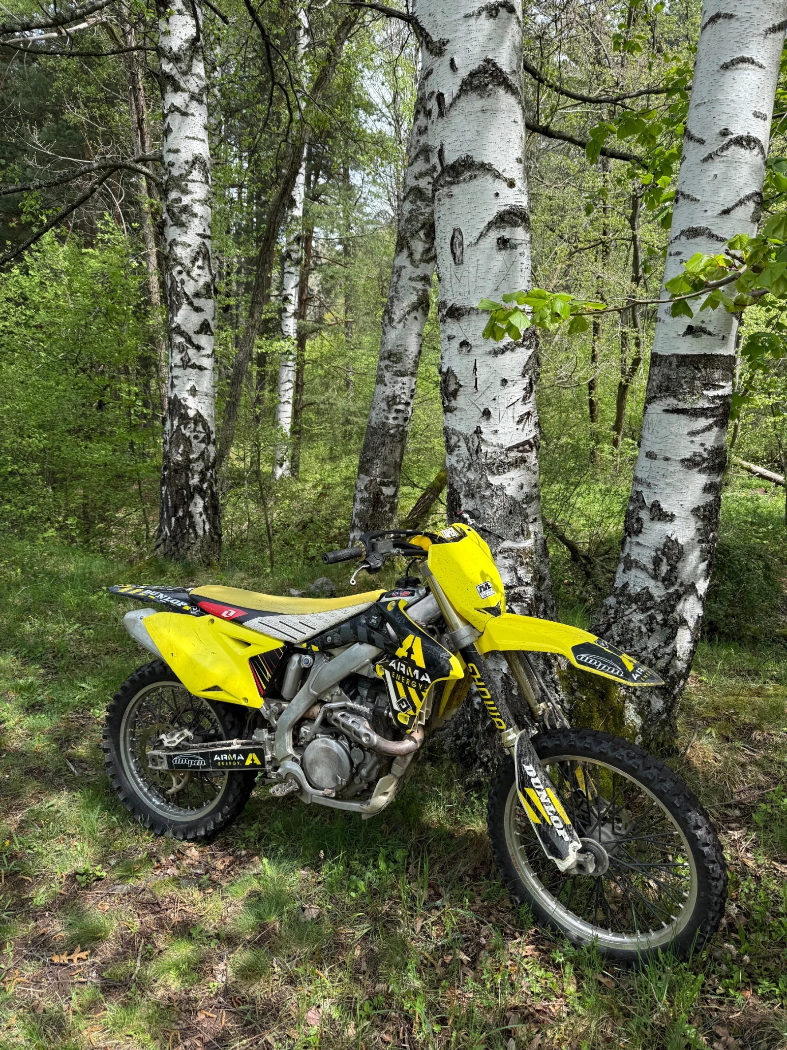 Suzuki Rmz  - изображение 3