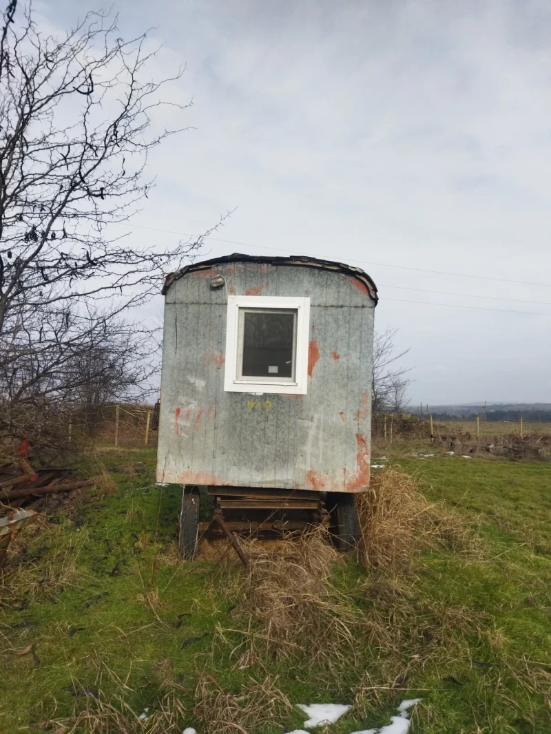 Специализирани машини Семечистачна машина, снимка 13 - Селскостопанска техника - 53243606