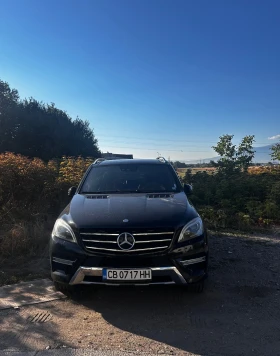 Mercedes-Benz ML 350, снимка 1