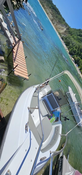 ����� Angelo Molinari  | Mobile.bg � ����� ������ 5