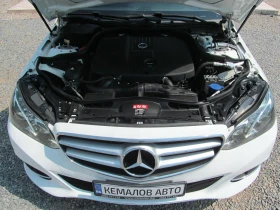 Mercedes-Benz E 250 CDI* 4Matic* 205 k.c* TOP | Mobile.bg    16