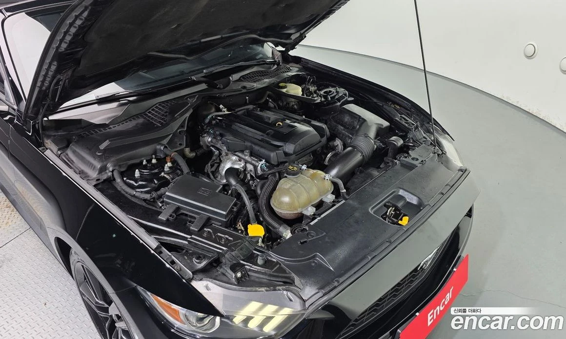 Ford Mustang Convertible, снимка 6 - Автомобили и джипове - 56120022