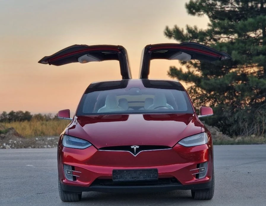 Tesla Model X X100D Long Range Warranty - изображение 3