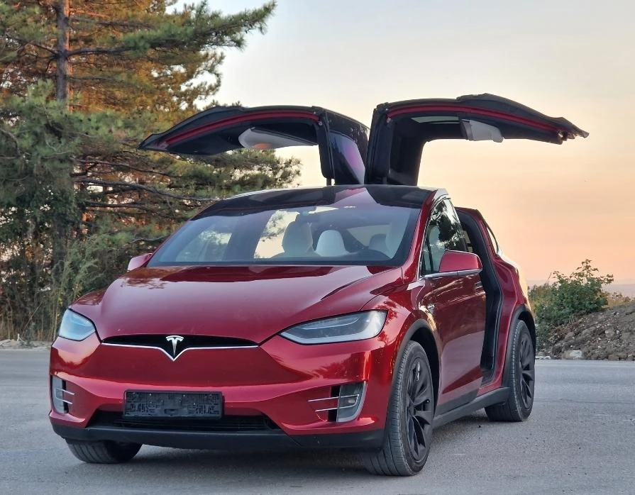 Tesla Model X X100D Long Range Warranty - изображение 2