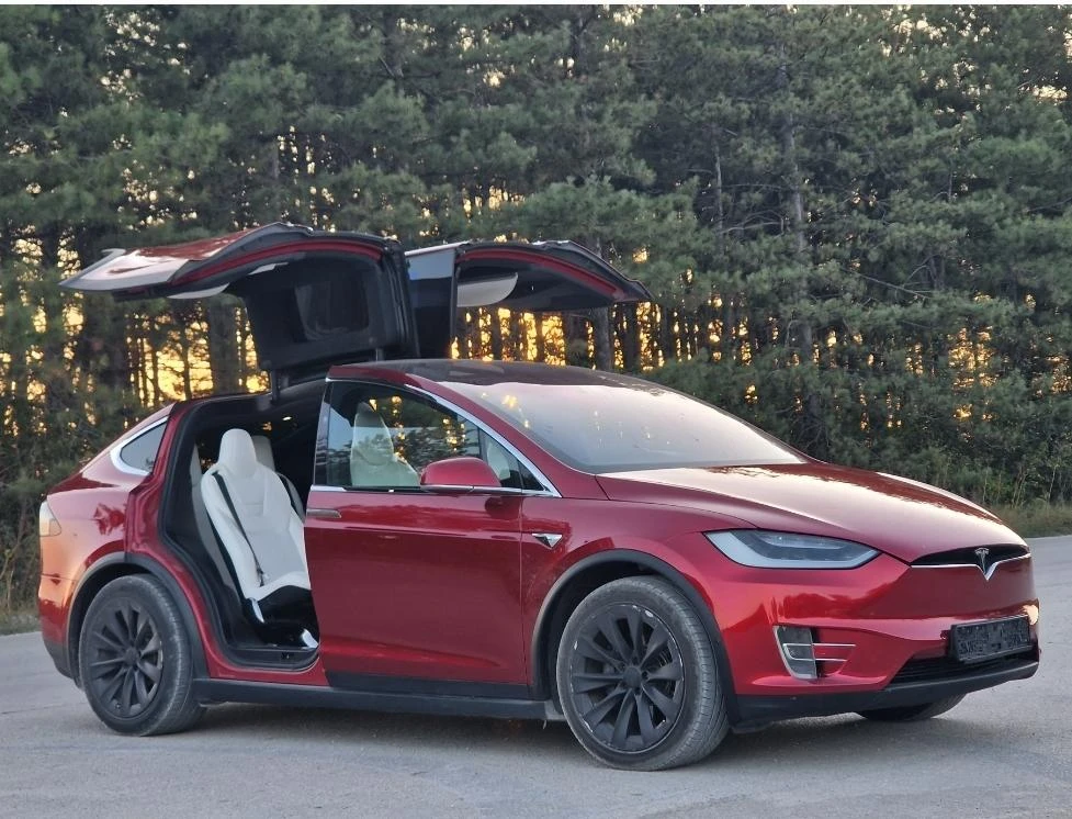 Tesla Model X X100D Long Range Warranty - изображение 7