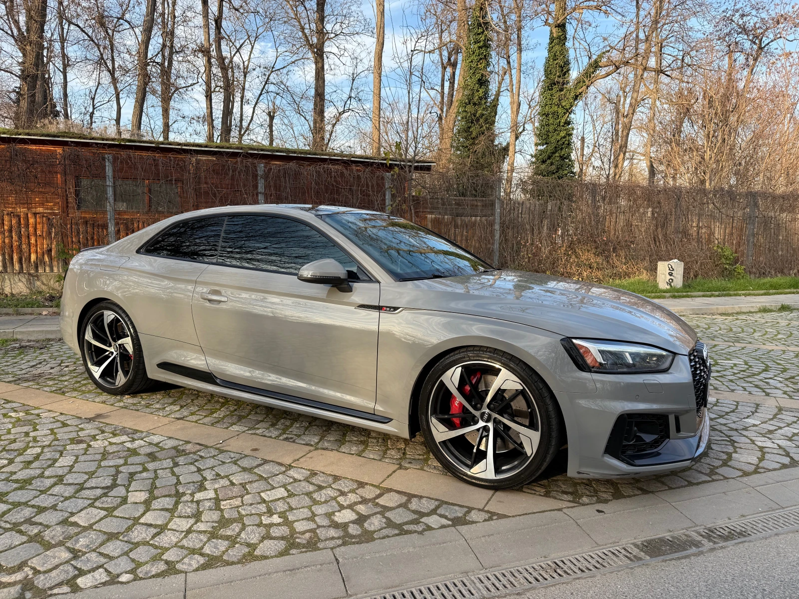 Audi Rs5  - изображение 4