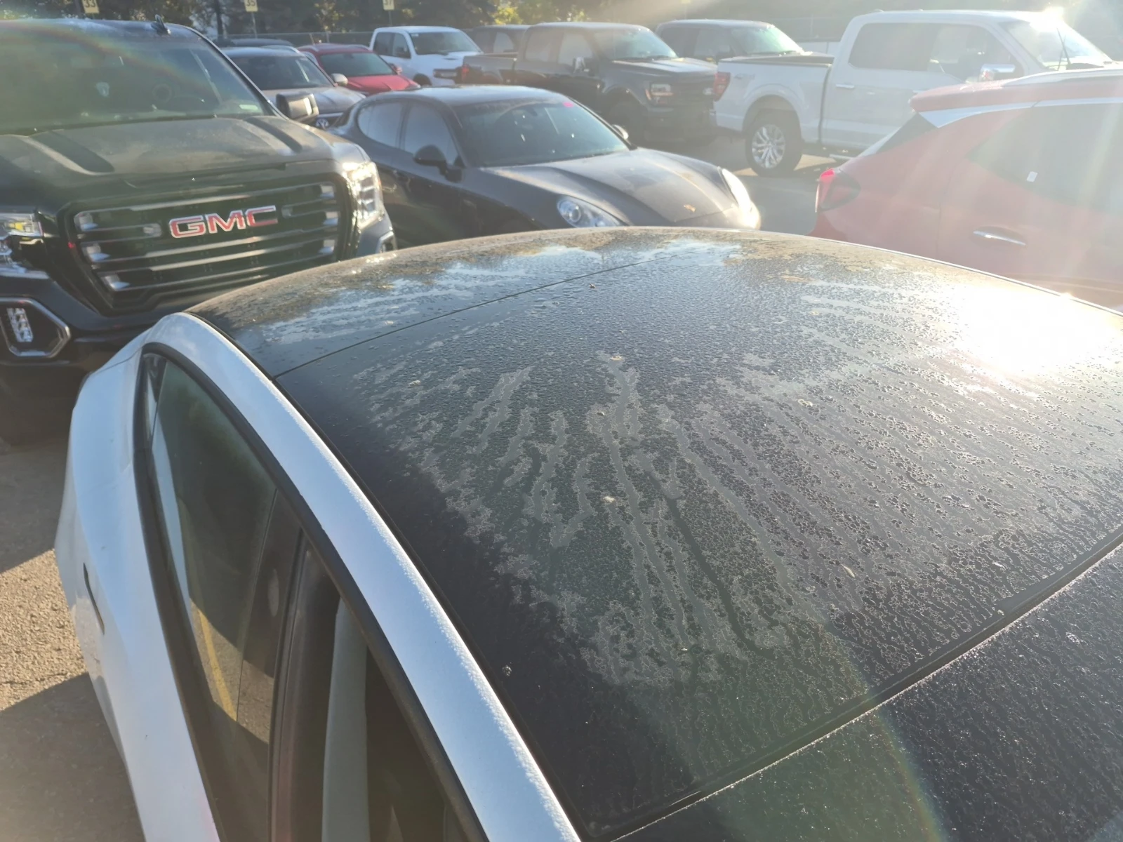 Tesla Model 3 RWD / ���������� | Mobile.bg � ����������� 6