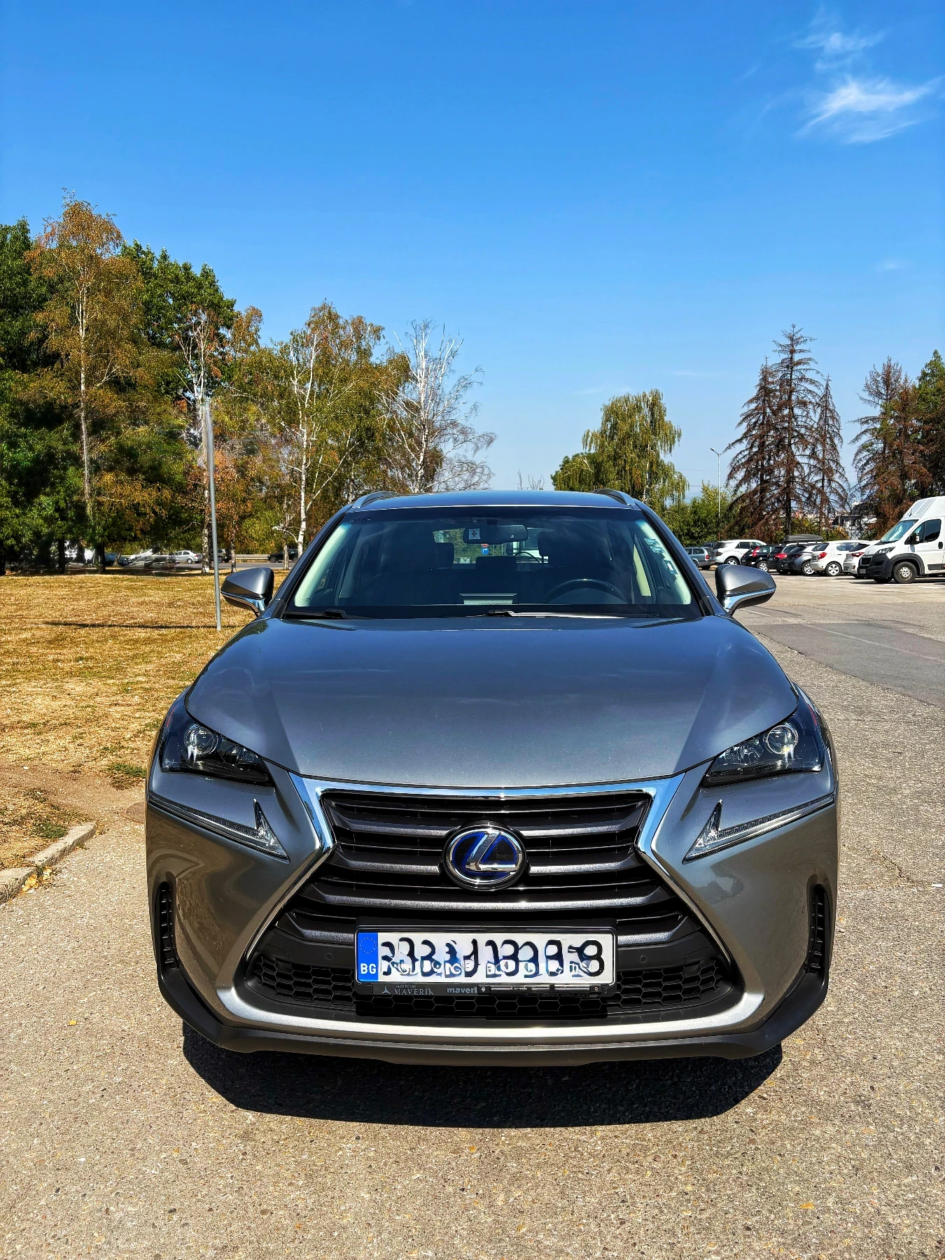 Lexus NX 300h, снимка 1
