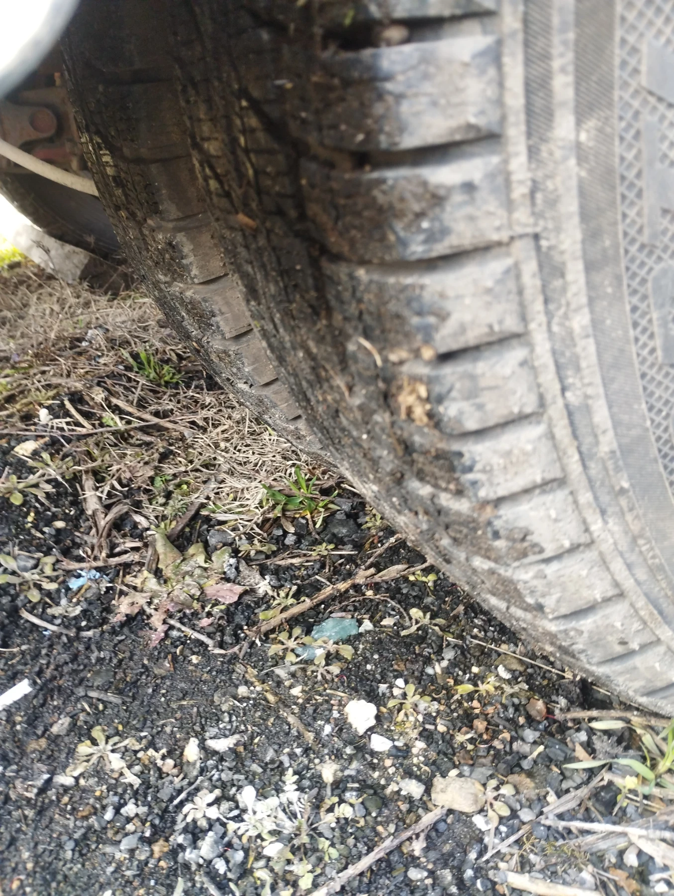 Iveco 35c11 2.8 TD 116 kc | Mobile.bg � ����������� 11