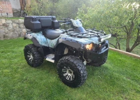     Kawasaki Brute Force Kawasaki Brute Force 750 44(   )