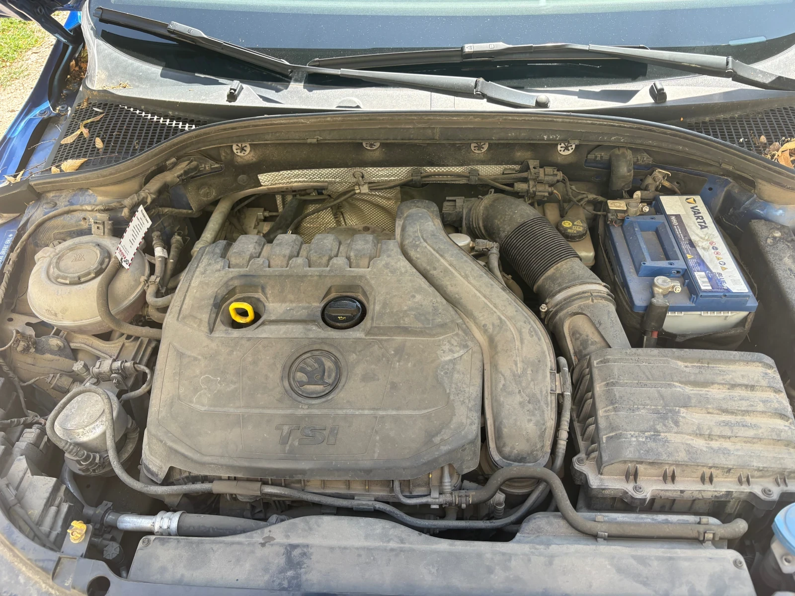 Skoda Octavia, снимка 8 - Автомобили и джипове - 55509557