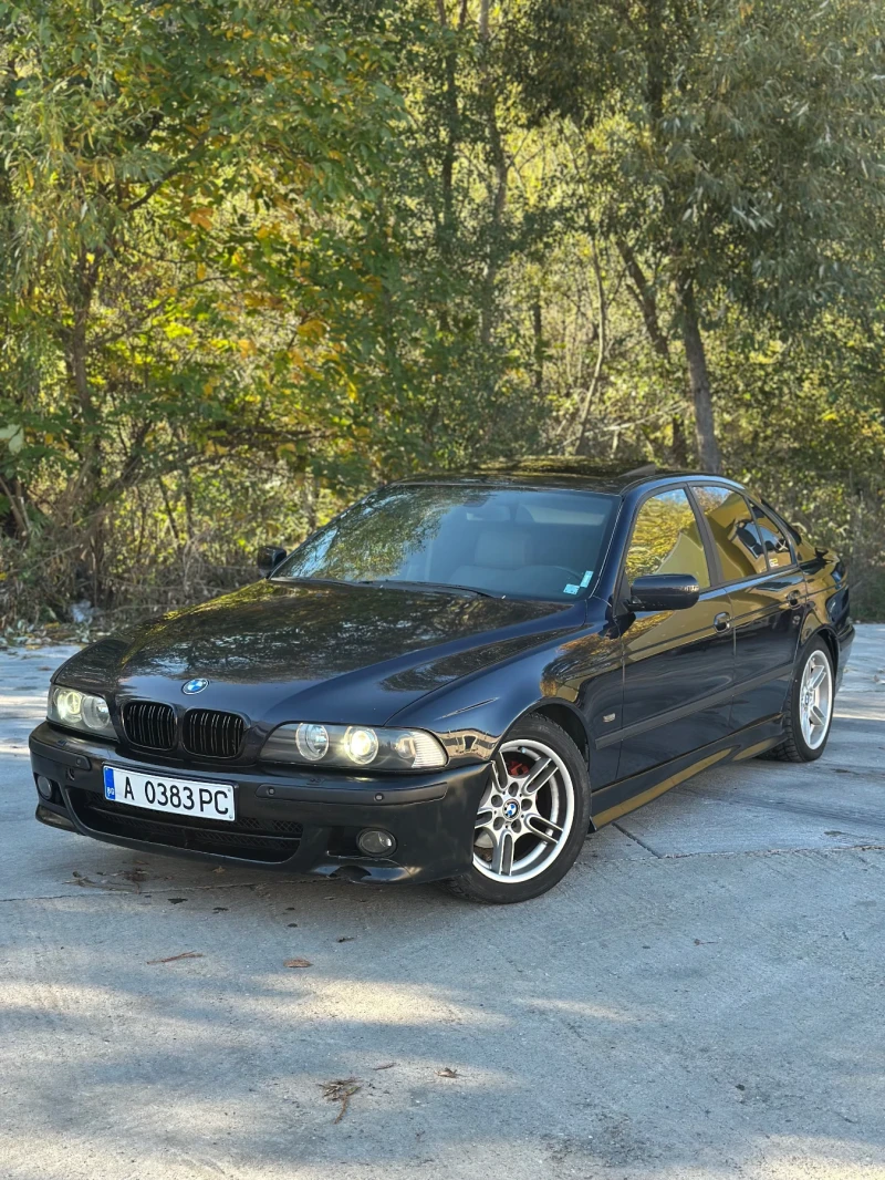 BMW 525 FACELIFT M-PAKET, снимка 4 - Автомобили и джипове - 52671900