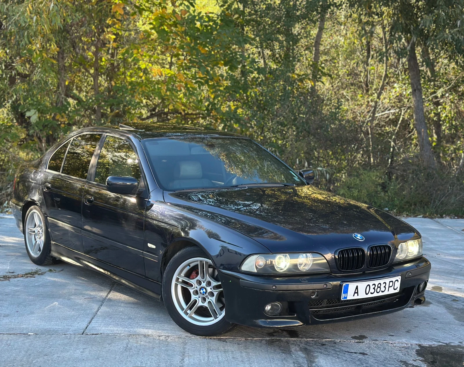 BMW 525 FACELIFT M-PAKET - изображение 3