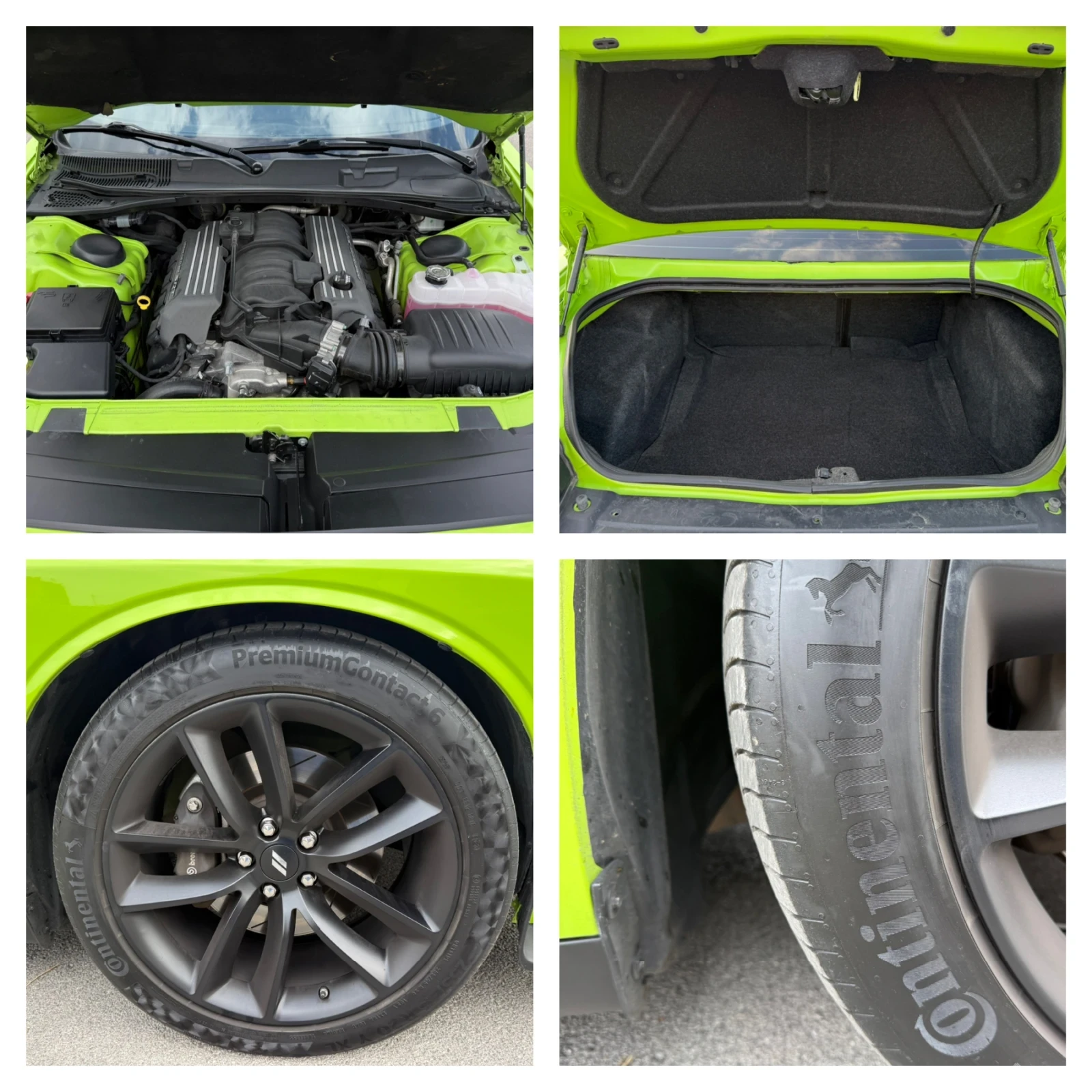 Dodge Challenger Face 6.4, снимка 16 - Автомобили и джипове - 56166383
