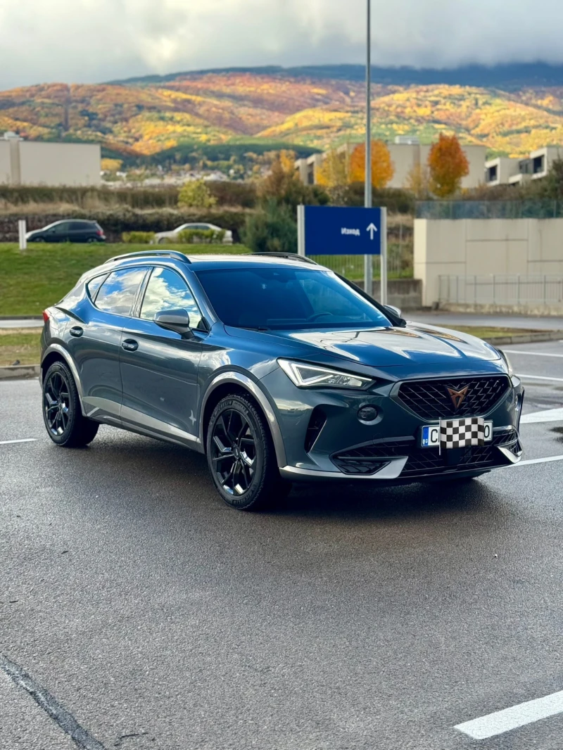 Cupra Formentor 2.0 TSI 190 HP 4Drive Euro 6 Limited 
