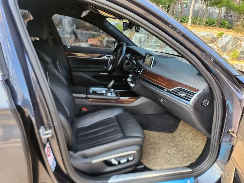 BMW 730 7 Series(G11) 730 Ld xDrive - изображение 10