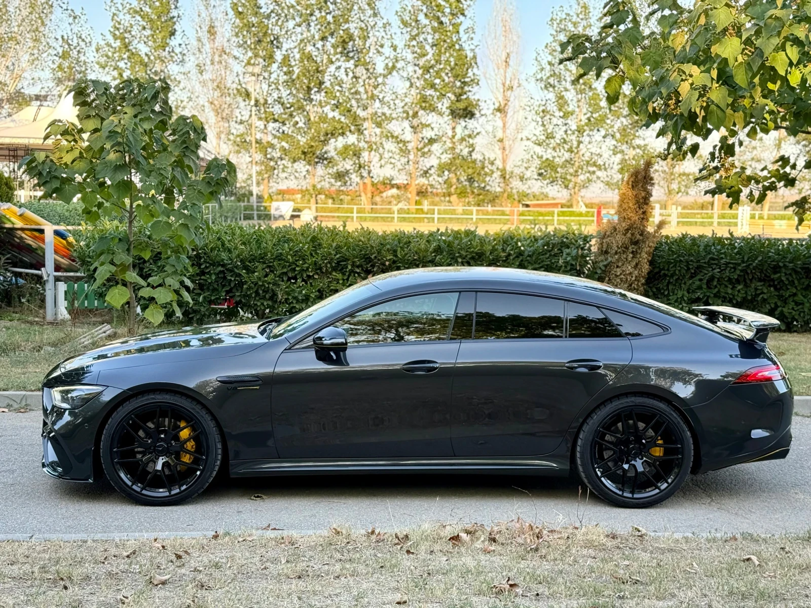 Mercedes-Benz AMG GT 43 AMG - изображение 5