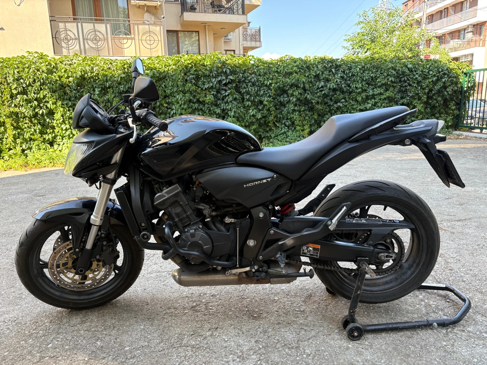 Honda Hornet