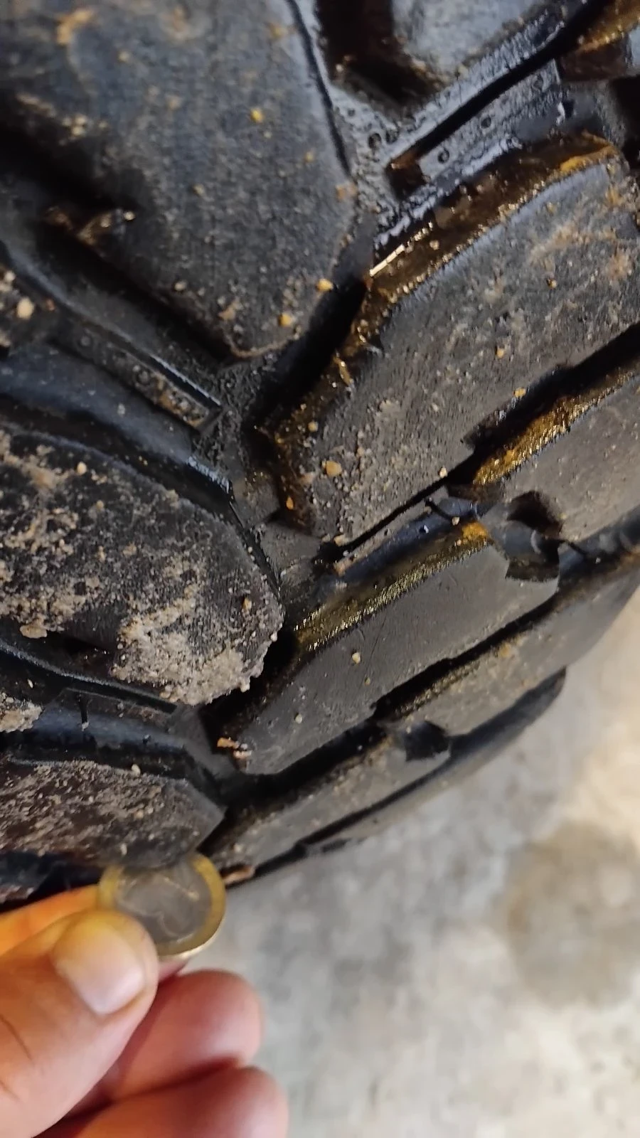 ���� � ������ 245/70R16 �� Nissan | Mobile.bg � ����������� 8