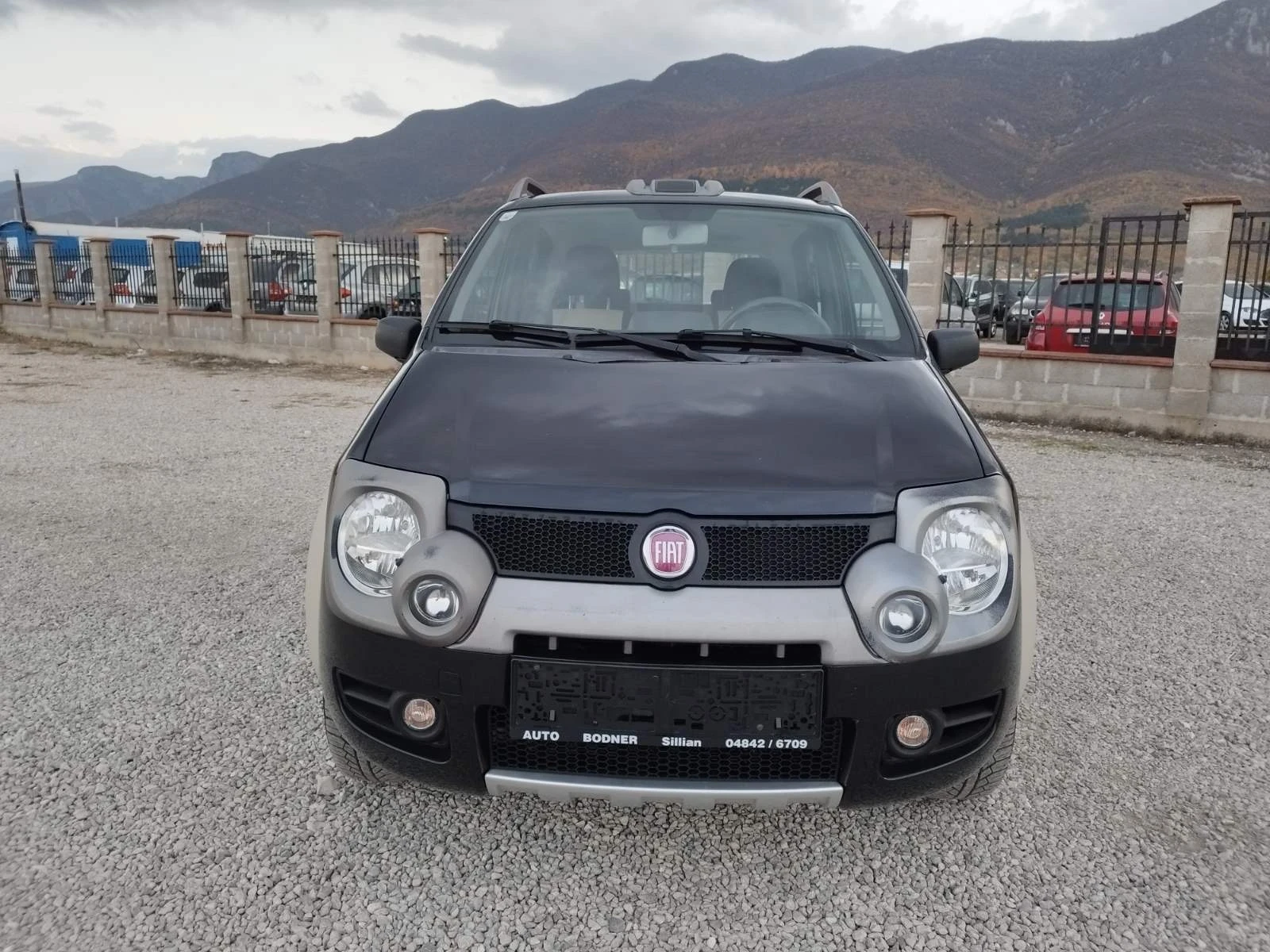 Fiat Panda 1.3 JTD CROSS - изображение 2