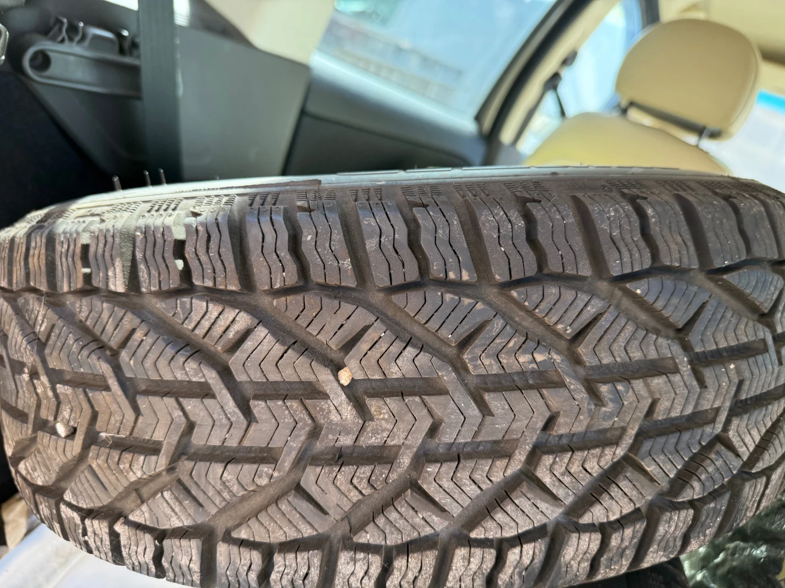 Lancia Musa  - изображение 10