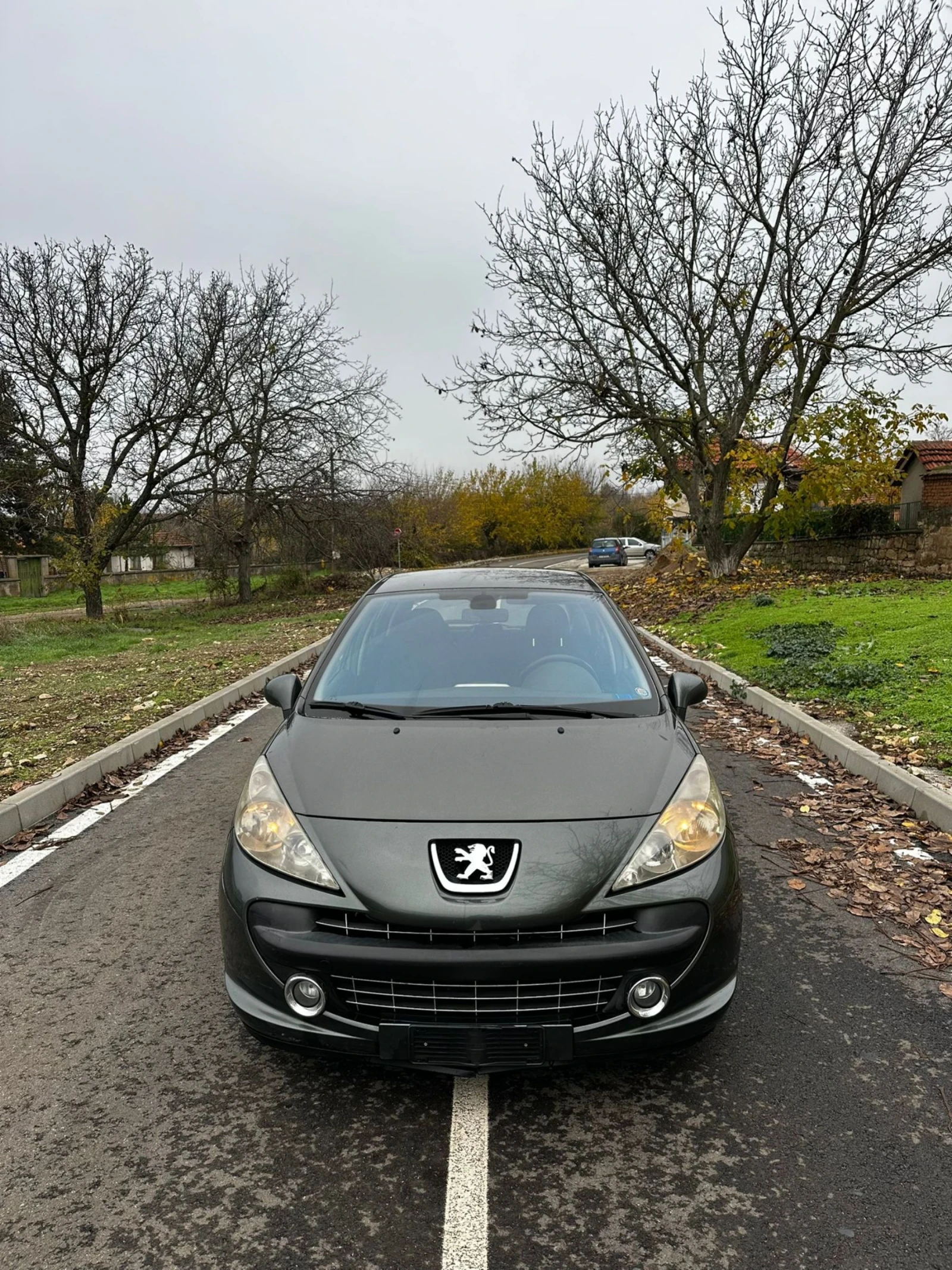 Peugeot 207 1.4���.68��.2008�. | Mobile.bg � ����������� 6