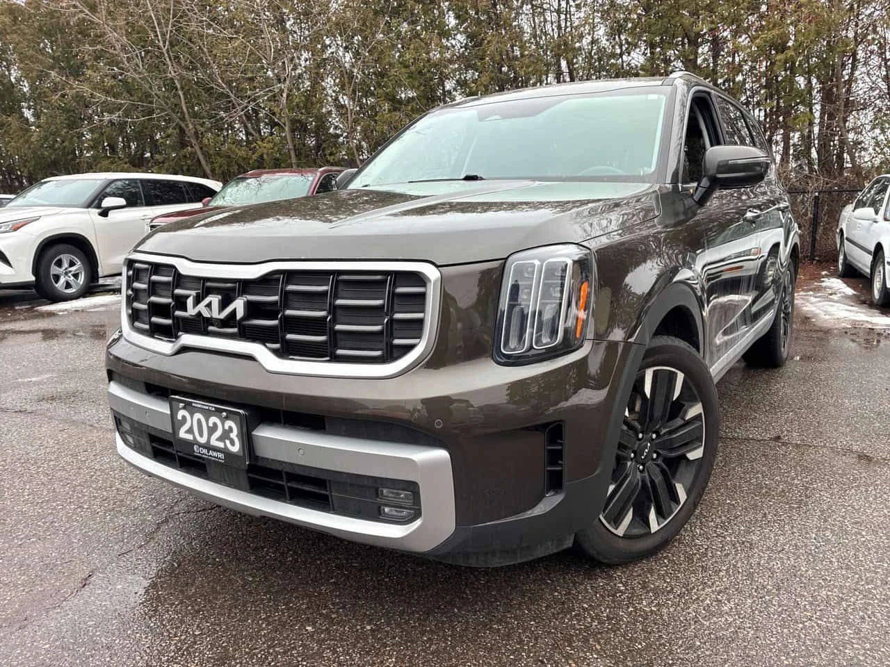 Kia Telluride AWD  CARFAX | Auto.bg — изображение 1