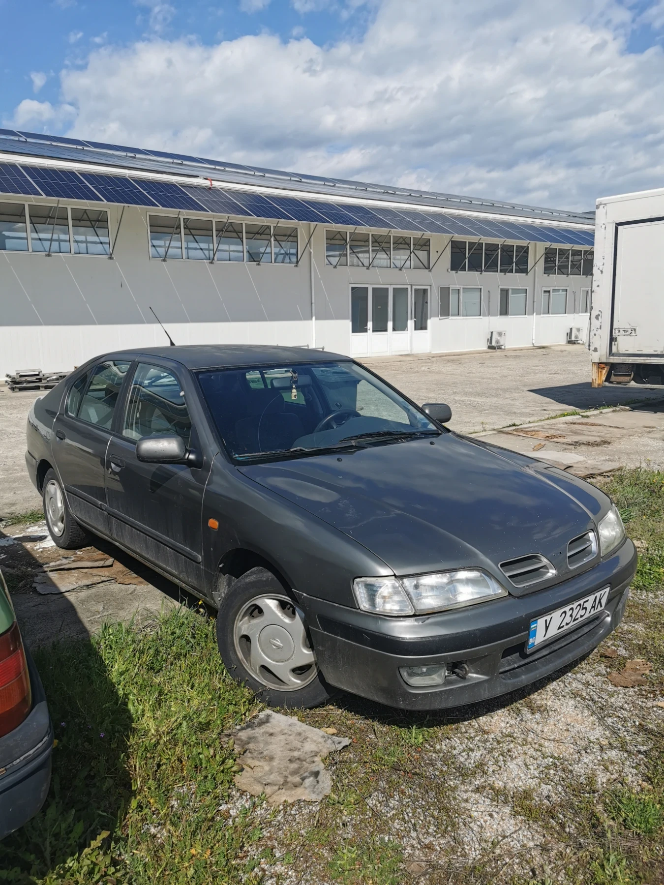 Nissan Primera P11 - изображение 2