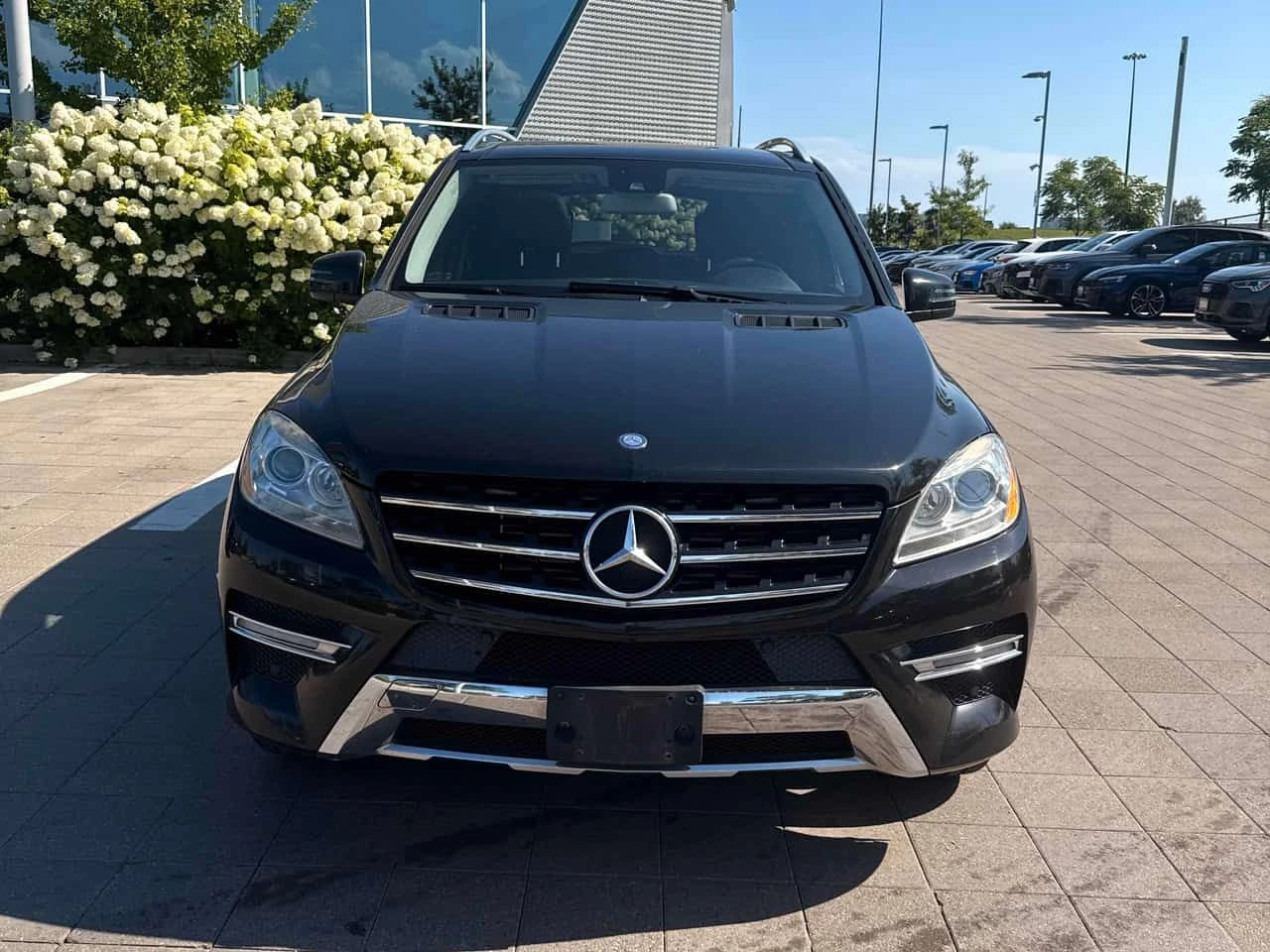 Mercedes-Benz ML 350 * BlueTEC * CARFAX * ОПЦИЯ ЗА ФИНАНСИРАНЕ, снимка 6 - Автомобили и джипове - 55647520