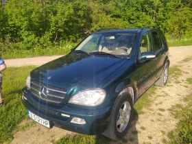     Mercedes-Benz ML 500