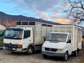 Mercedes-Benz Sprinter 312 D Животновоз , снимка 12