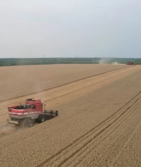 Комбайн Massey Ferguson Beta 7270, снимка 11