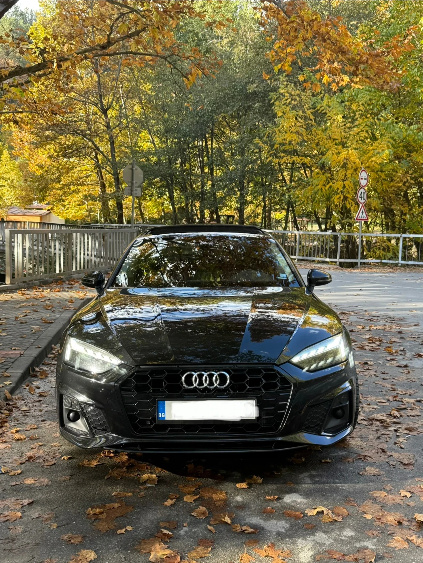 Audi A5 2.0D 190к.с - изображение 2