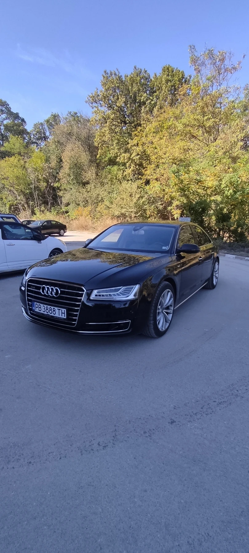 Audi A8 Matrix 4.2 TDI  385к.с, снимка 2 - Автомобили и джипове - 56714142
