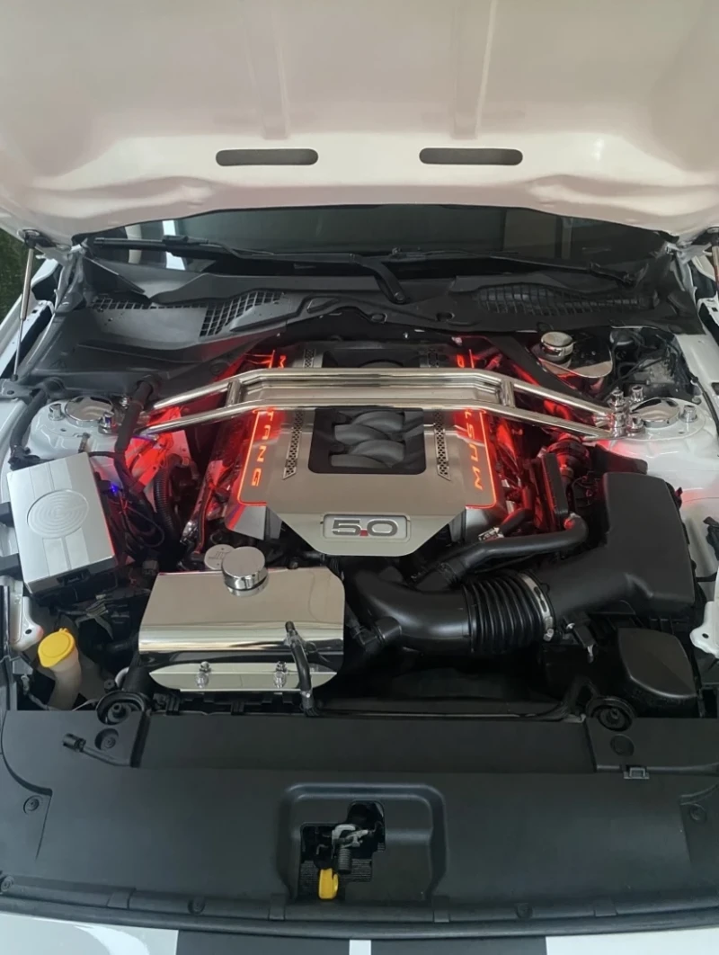 Ford Mustang GT 5.0 V8 PERFORMANCE PACKAGE , снимка 15 - Автомобили и джипове - 52218257
