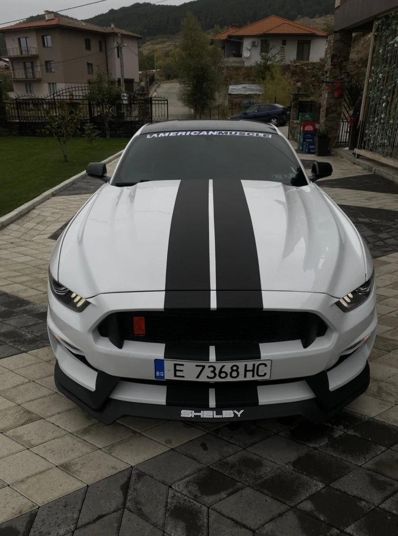 Ford Mustang GT 5.0 V8 PERFORMANCE PACKAGE  - изображение 4