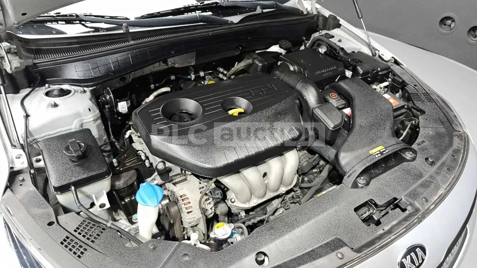 Kia K5, снимка 15 - Автомобили и джипове - 54865609