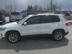 VW Tiguan * 4MOTION 4dr Auto Comfortline * PANO* �������*  | Mobile.bg � ����� ������ 2
