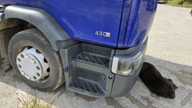 Renault Premium 430  | Mobile.bg    10