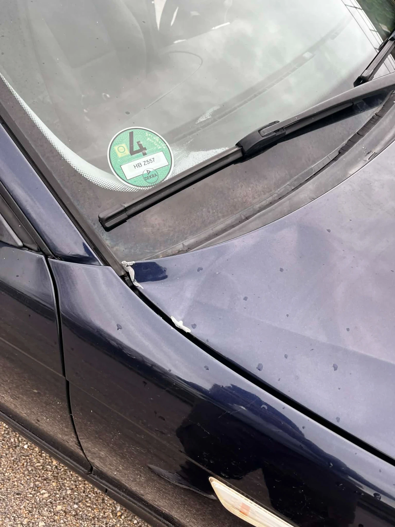 BMW 318 | Mobile.bg � ����������� 12