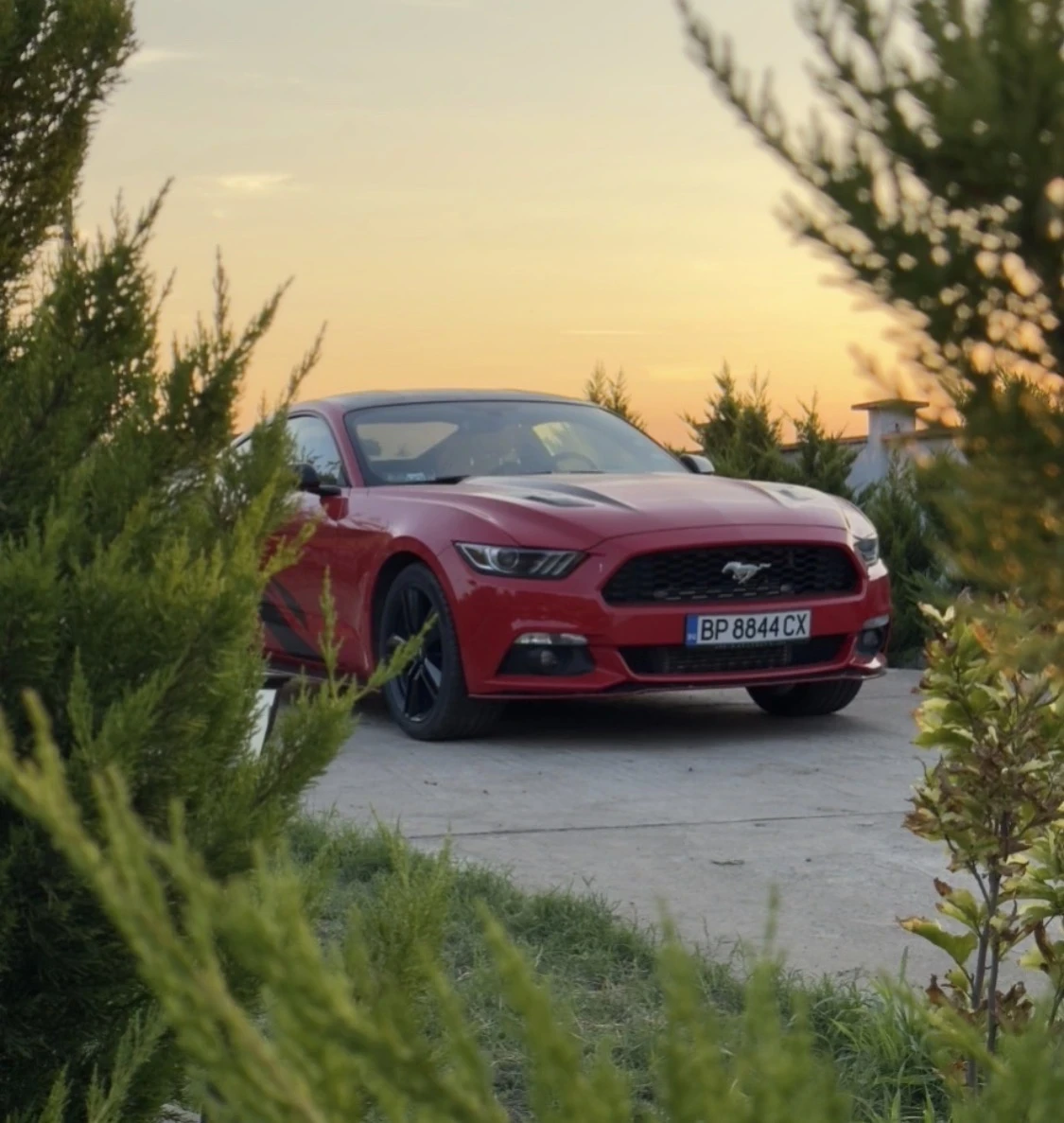 Ford Mustang     3 EcoBoost Premium / Base   ������� ������ (Ba | Mobile.bg � ����������� 2