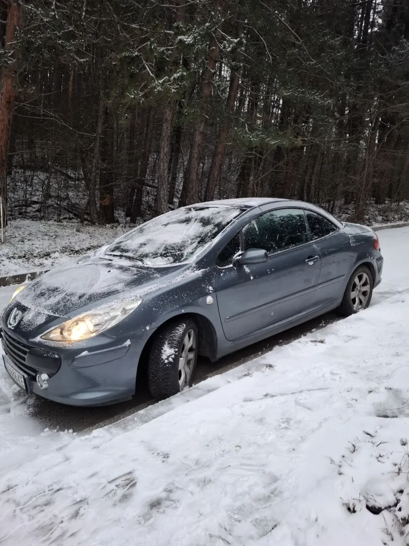 Peugeot 307 СС 1.6 /109 107000 км, снимка 2 - Автомобили и джипове - 53066136
