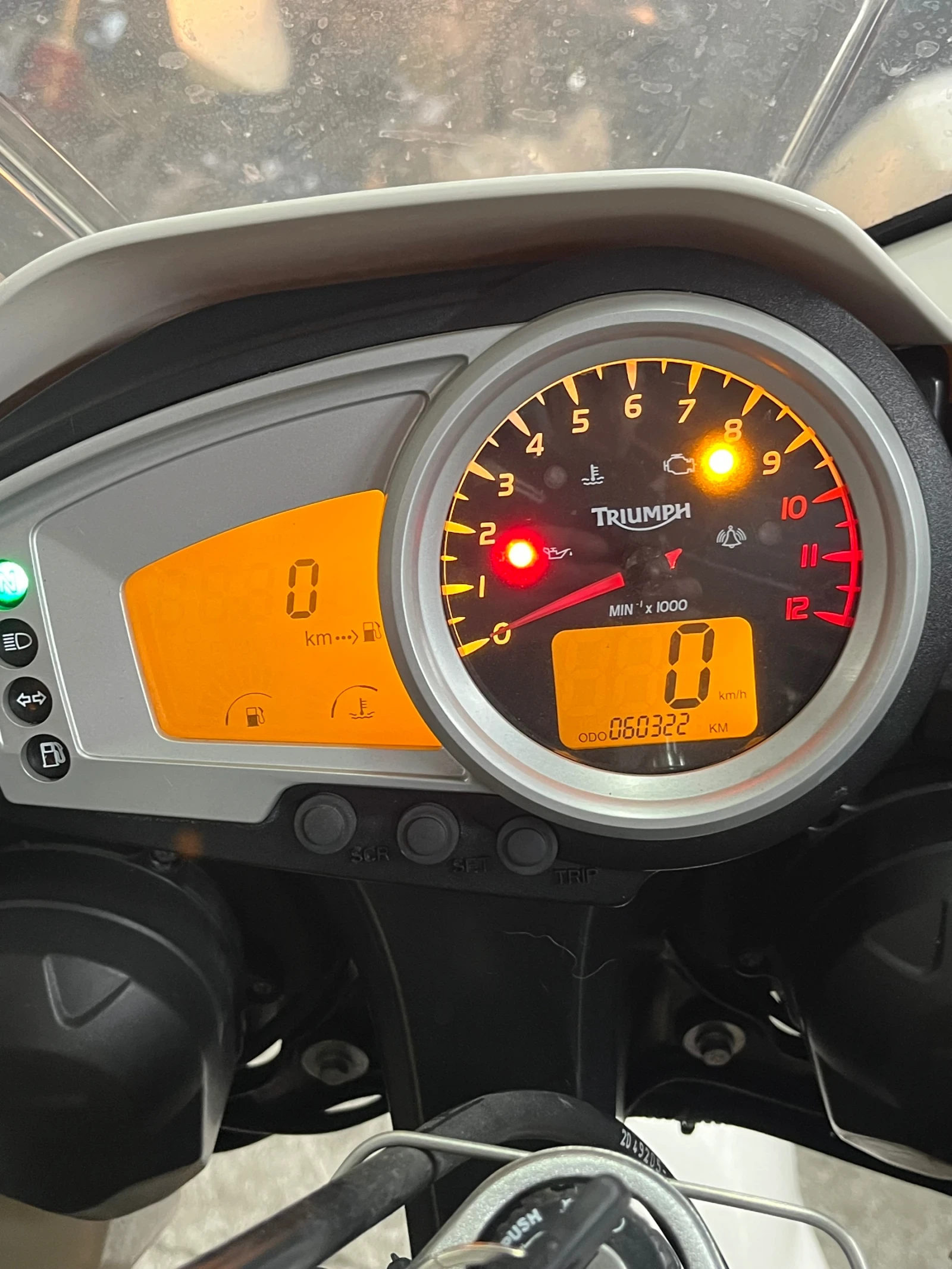 Triumph Tiger 1050  - изображение 5