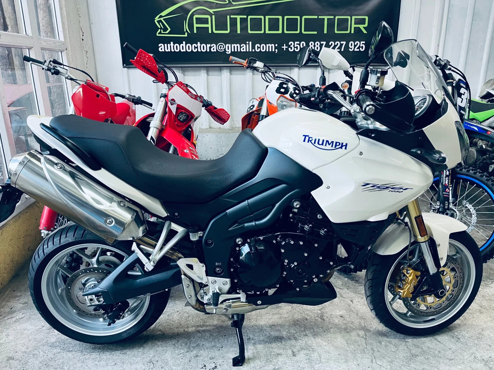 Triumph Tiger 1050  - изображение 2