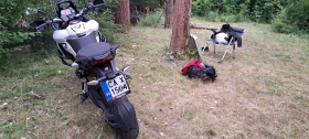 Ducati Multistrada 1200 | Mobile.bg    3