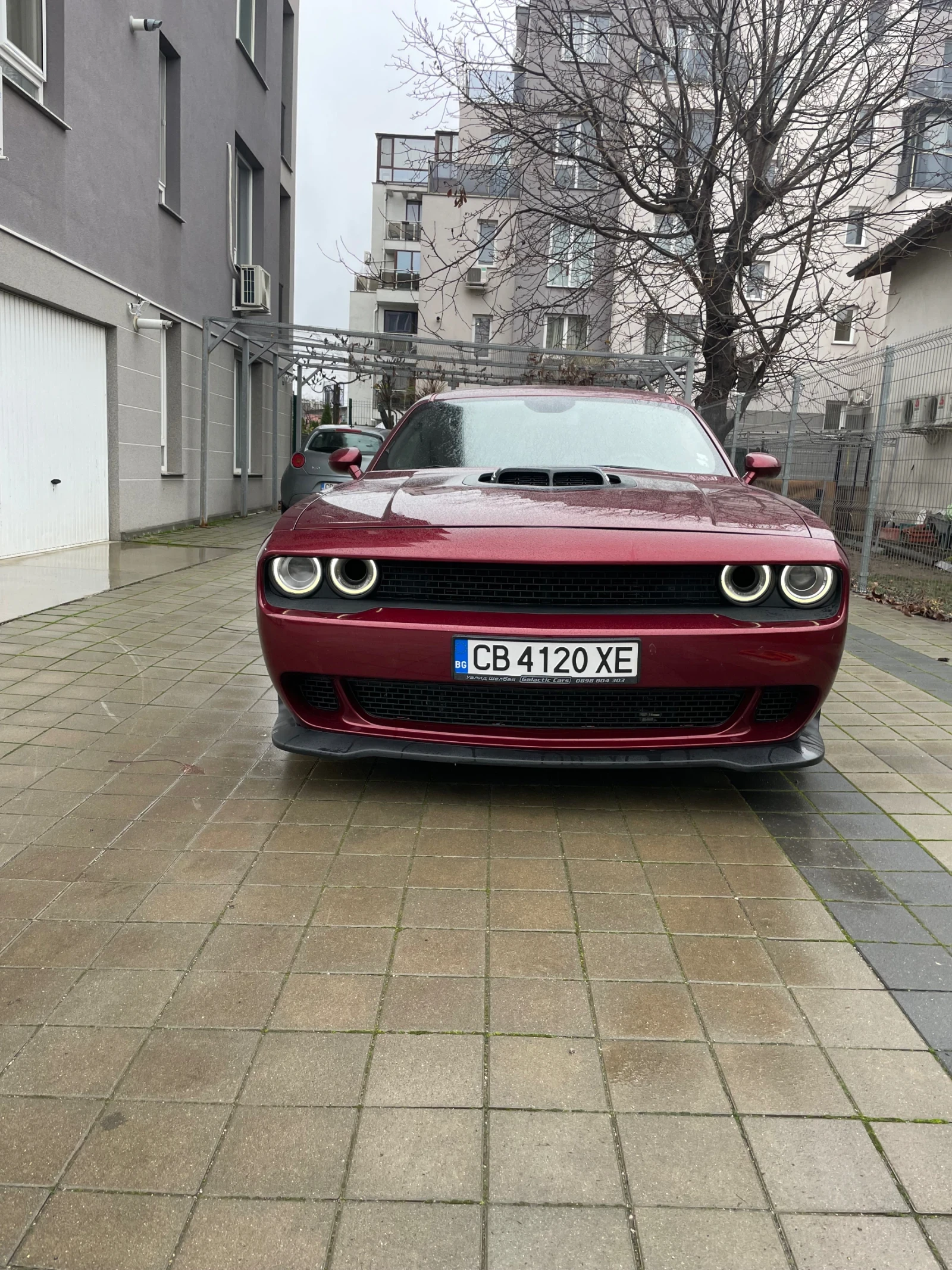 Dodge Challenger 5.7 V8   | Mobile.bg   3